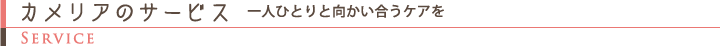 カメリアのサービス　一人ひとりと向かい合うケアを